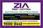 Zia Pest Control | Bedbug Treatment Rs. 1500/- | General Cockroach Tre