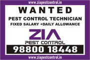 Wanted Pest Control Technician | Urgent Hiring Pest Technician | 1746