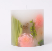The Maeva Store's offers Jade Botanical Candle at offer price