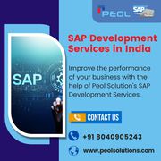 SAP Development Services in India|Peol solution