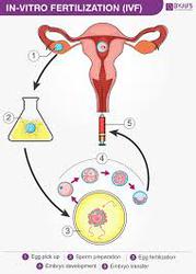 Best IVF Doctors Bengaluru - Free Fertility Consultation