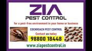 Cockroach Pest Control Service | UpTo 40% Off for | Paying Guest | 90