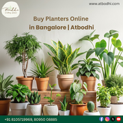 Designer Planters & Décor Bangalore – Atbodhi