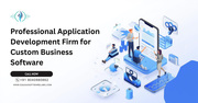 Professional Application Development Firm for Custom Business Software