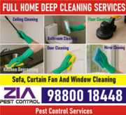 From Dirty to Dazzling – Professional Deep Cleaning